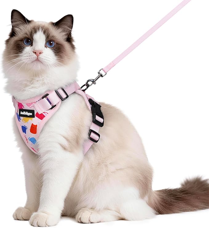 rabbitgoo Cat Harness and Leash for Walking, Escape Proof Soft Adjustable Vest Harnesses for Cats, Easy Control Breathable Reflective Strips Jacket, Purrty Pink, M