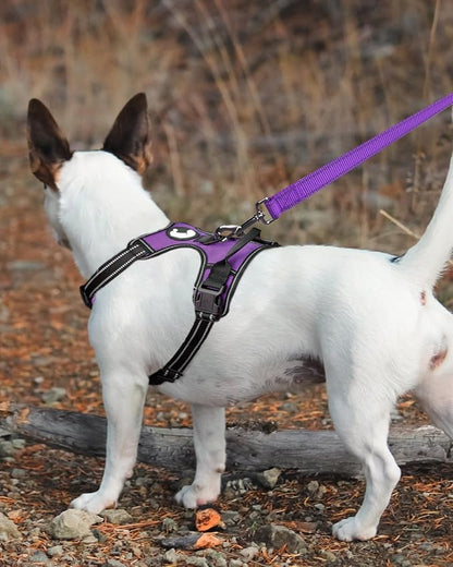 Joytale Double-Sided Reflective Dog Leash, 4 FT, Padded Handle Nylon Heavy Duty Leashes for Small & Medium Dogs Walking, Purple