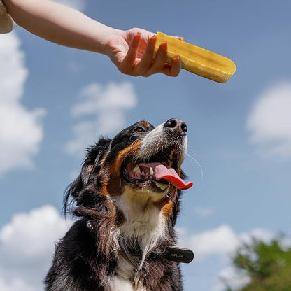 Healthy Yak Cheese Himalayan Chew, All-Natural & High in Protein, Odorless & Long Lasting Yak Chews for Large Dogs & Medium Dogs, Dog Chews for Aggressive Chewers (Large, 8-Pack)