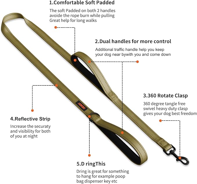Heavy Duty Double Handle Dog Leash - Reflective Training Lead, Perfect for Medium to Large Dogs (5FT, Deep Green)