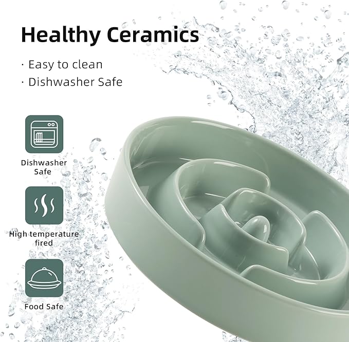 Ceramic 3.2 Cup Slow Feeder Dog Bowl for Large Dog, 9.5inch Puzzle Food Dish, Anti-Gulping, Stop Bloat, Preventing Choking (Single Bowl-Light Green)