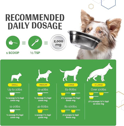 TopDog Health - MSM Joint Boost Powder - Hip & Joint Dog Supplement for Joint Mobility & Flexibility - Natural Anti-Inflammatory with Sulfur - Unflavored