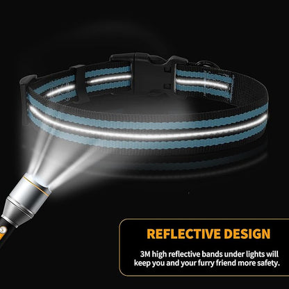 Mile High Life Reflective Dog Collar | Nylon Pet Collars wiith Buckle | Light Weight Puppy Collars | Light Blue Dog Collars for Medium Dogs (Light Blue, M)