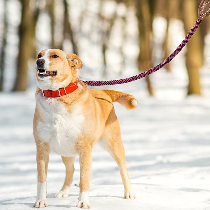 Mile High Life Rope Leash with Genuine Leather Connection, 6 FT/5 FT/4 FT, Heavy Duty Leash for Medium & Large Dogs (Hot Pink, 48 Inch)