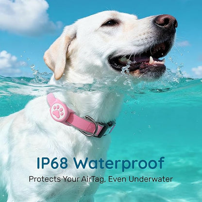Reflective Dog Collar with Waterproof Air tagholder & Anti-Lost QR Code | Ultra-Durable | Soft Padded | Safety Locking Buckle | Fit Large Dogs (Neon Pink L(15.7"-23.6"))
