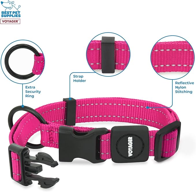 Best Pet Supplies Voyager Reflective Dog Leash or Collar with Neoprene Handle, for Small, Medium, and Large Breed Puppies, Cute and Heavy Duty for Walking, Running and Training - Fuchsia, L