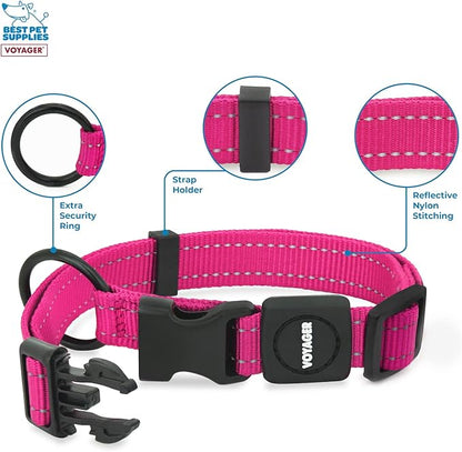 Best Pet Supplies Voyager Reflective Dog Leash or Collar with Neoprene Handle, for Small, Medium, and Large Breed Puppies, Cute and Heavy Duty for Walking, Running and Training - Fuchsia, L
