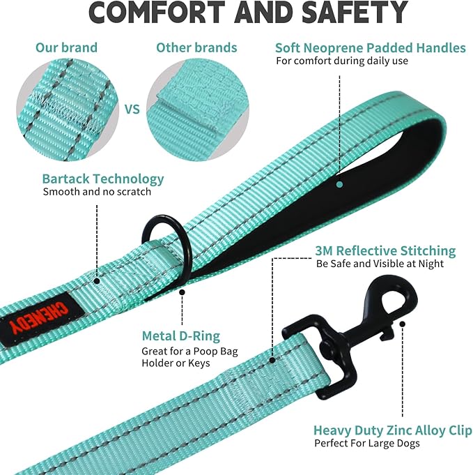 Heavy Duty Leash for Large Breed Dogs - Double Handle Reflective Training Lead - Perfect for Medium to Large Dogs (6FT Lake Blue)