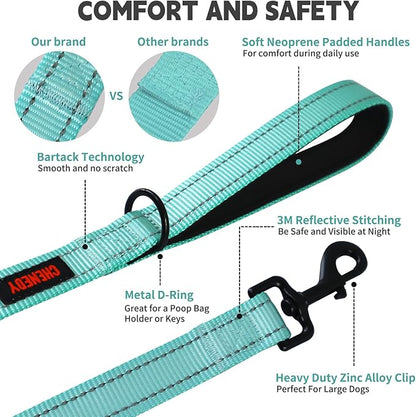 Heavy Duty Leash for Large Breed Dogs - Double Handle Reflective Training Lead - Perfect for Medium to Large Dogs (6FT Lake Blue)