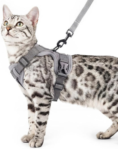 pangdi Cat Harness and Leash Set Escape Proof Tactical Small Kitten Harness Emotional Support Cat Vest, Grey, S