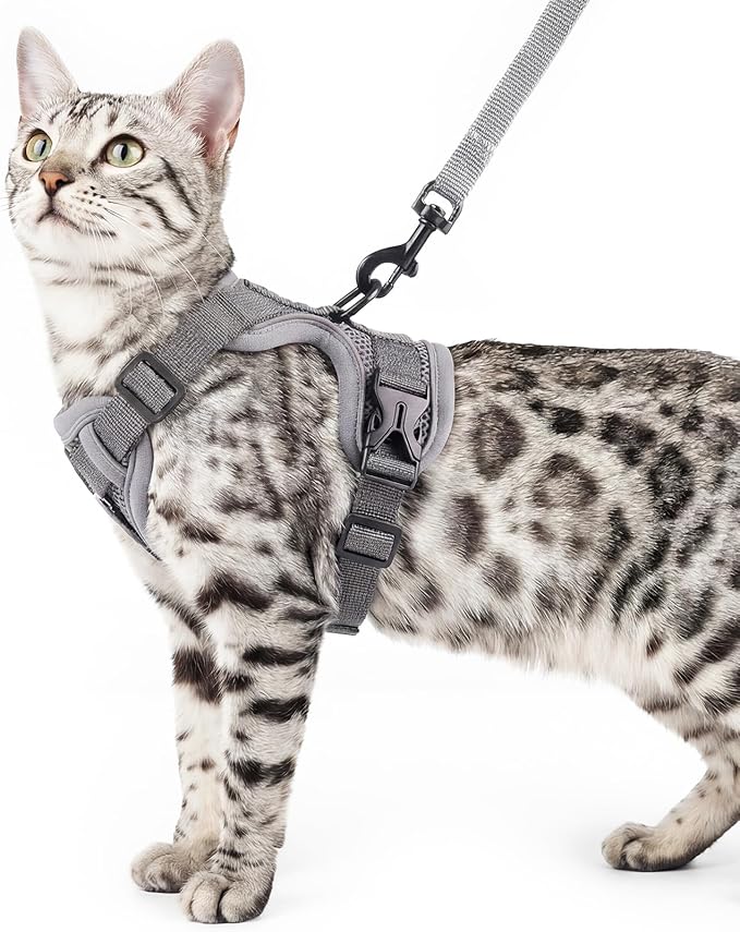 pangdi Cat Harness and Leash Set Escape Proof Tactical Extra Large Kitten Harness Emotional Support Cat Vest, Grey, XL