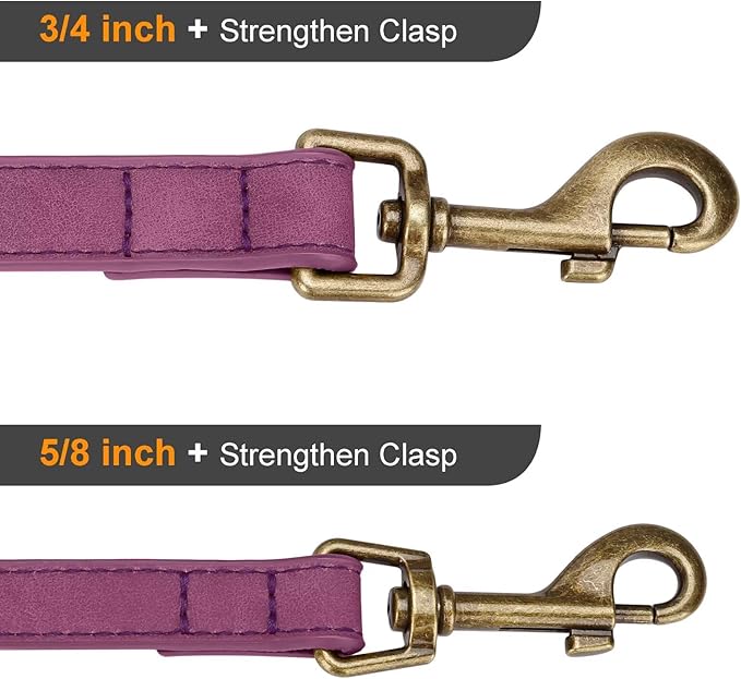 Didog Stylish PU Leather Dog Leash for Small Dogs, Easy to Clean 5ft Small Dog Leash with Metal Tangle-Free Clip, Fashionable and Elegant for Walking, Running and Training,Purple, S