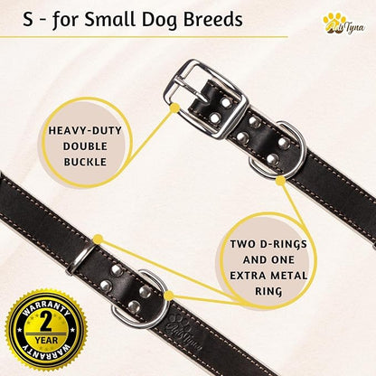 ADITYNA Heavy-Duty Black Leather Dog Collar for Small Dogs - Soft Padded for Comfort - Small Dog Collar for Walking, Training, and Hiking