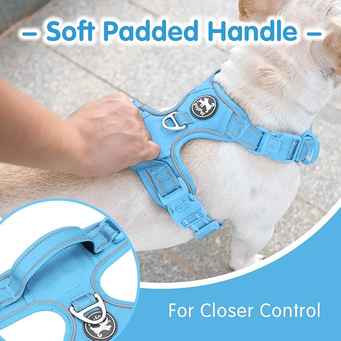 PoyPet No Pull Dog Harness and 5 Feet Leash Set, Release on Neck Reflective Adjustable Pet Vest, Front & Back 2 D-Ring and Soft Padded Pet Harness with Handle for Small to Large Dogs(Light Blue,S)