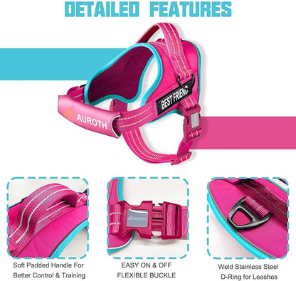 AUROTH Dog Harness and Leash Set, Soft Padded Dog Vest with 5.25FT Dog Leash, No Choke, Easy On Pet Vest, Adjustable Reflective No Pull Dog Harness for Large Dogs, Easy Walking and Training