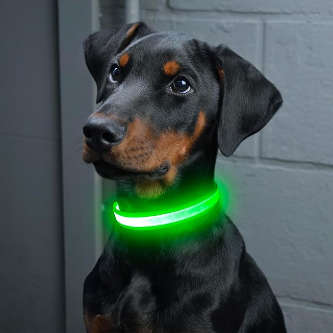 Vizpet LED Dog Collar, Light Up Dog Collar Adjustable USB Rechargeable Super Bright Safety Light Glowing Collars for Dog(Small,Green)