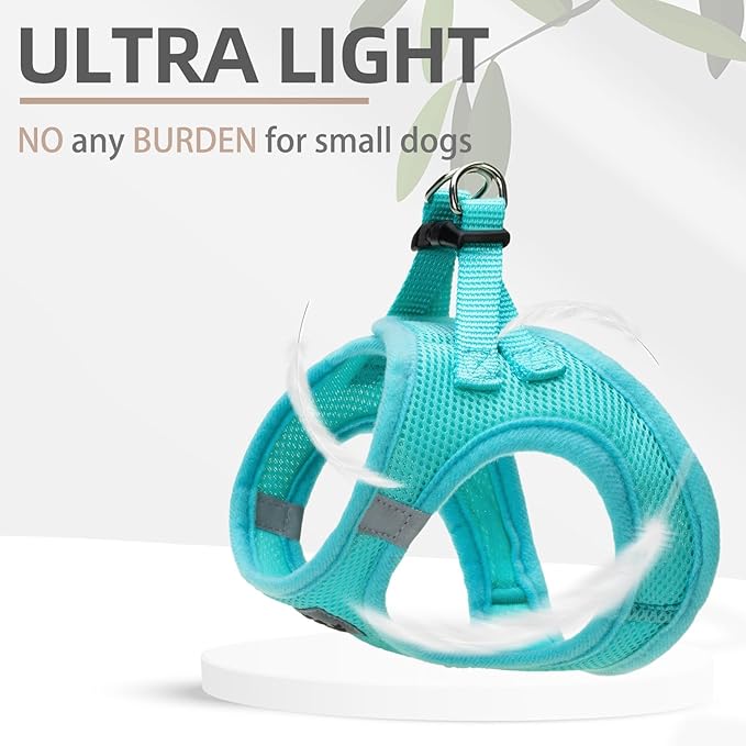PUPTECK Adjustable Dog Harness Collar and Leash Set Step in No Pull Pet Harness for Small Medium Dogs Puppy and Cats Outdoor Walking Running, Soft Mesh Padded Reflective Vest Harnesses, Turquoise M
