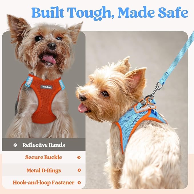 rabbitgoo Dog Harness Small Medium Sized and Leash Set, Step in Soft Light Puppy Vest, Breathable Mesh Pet Harness, Reflective for Safe Easy Walking, Blue & Orange L
