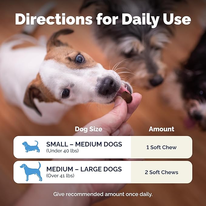 Vetnique Glandex Daily Probiotics for Dogs with Prebiotics to Support Gut Health with Fiber and Digestive Enzymes, Probiotic Chews or Powders (60ct Chews, Bacon Chews)