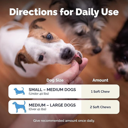 Vetnique Glandex Daily Probiotics for Dogs with Prebiotics to Support Gut Health with Fiber and Digestive Enzymes, Probiotic Chews or Powders (60ct Chews, Bacon Chews)