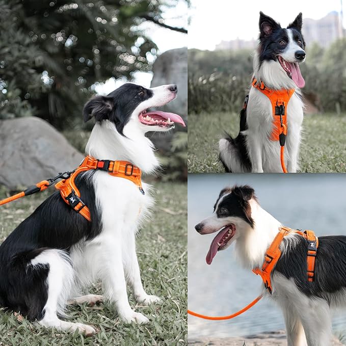 PoyPet No Pull Dog Harness and 5 Feet Leash Set, Release on Neck Reflective Adjustable Pet Vest, Front & Back 2 D-Ring and Soft Padded Pet Harness with Handle for Small to Large Dogs(Orange,M)