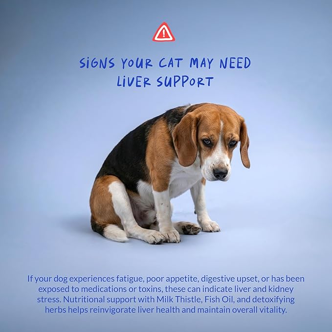 Milk Thistle for Dogs - 120 Chewable Tablets - Silymarin - Liver and Kidney Support with EPA & DHA - Detox - Liver Supplement for Dogs with Choline and L-Arginine