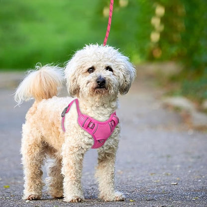 BARKBAY No Pull Dog Harness Large Reflective Dog Harness with Front Clip and Easy Control Handle for Walking Training Running with ID tag Pocket(Pink,XS)