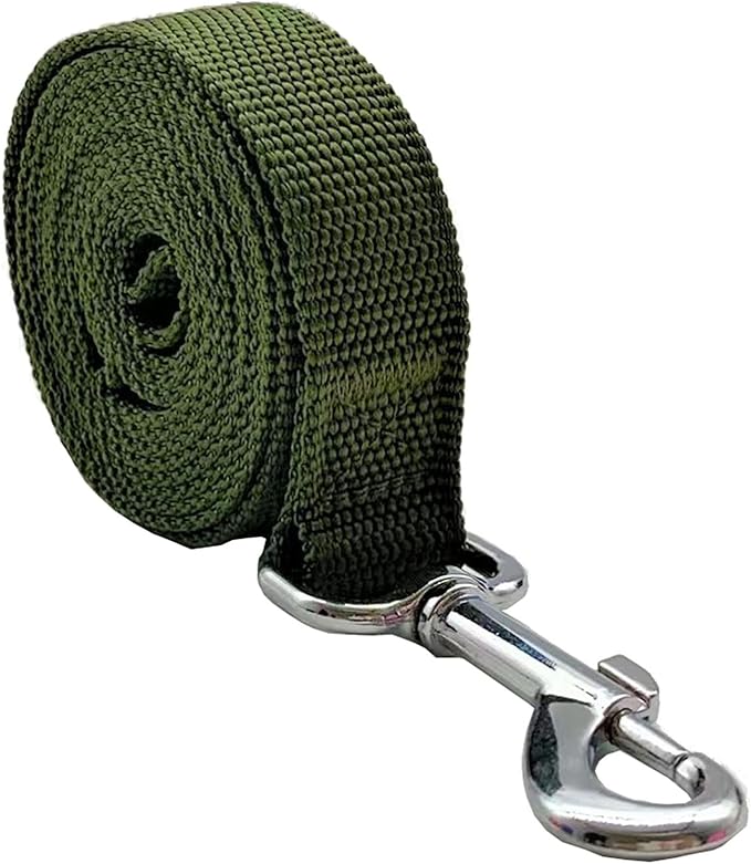 Nylon Dog Leash 12 Feet Long, Walking Training Dog Leashes for Medium Large Dogs(1" X 12 ft, Green)