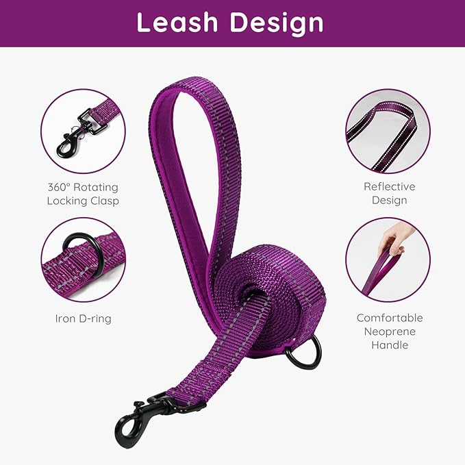 BELLA & PAL Step in Vest Harness for Small and Medium Dogs, No Pull Small Dog Harness with Leash Set, Comfortable Air Mesh Dog Vest Harness with Reflective Strip (Grape Purple, XXS)