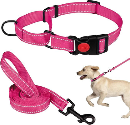Martingale Dog Collar and Leash Set Martingale Collars for Dogs Reflective Martingale Collar for Large Medium Small Dogs(Hot Pink&M)