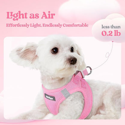 rabbitgoo Dog Harness Small Medium Sized and Leash Set, Step in Soft Light Puppy Vest, Breathable Mesh Pet Harness, Reflective for Safe Easy Walking, Light Pink XL