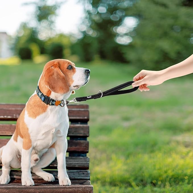 PUPTECK Reflective Dog Leash with Comfortable Padded Handle Durable Nylon Dog Lead for Small Medium and Large Dogs Cats Walking Running Training Outside, Black