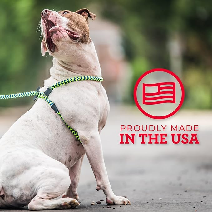 Harness Lead No Pull Dog Harness and Leash Set, Anti Pull Dog Harness for All Breeds and Sizes, One-Piece Cushioned Rope Design Safely Prevents Escaping and Pulling (Medium/Large, Pink)