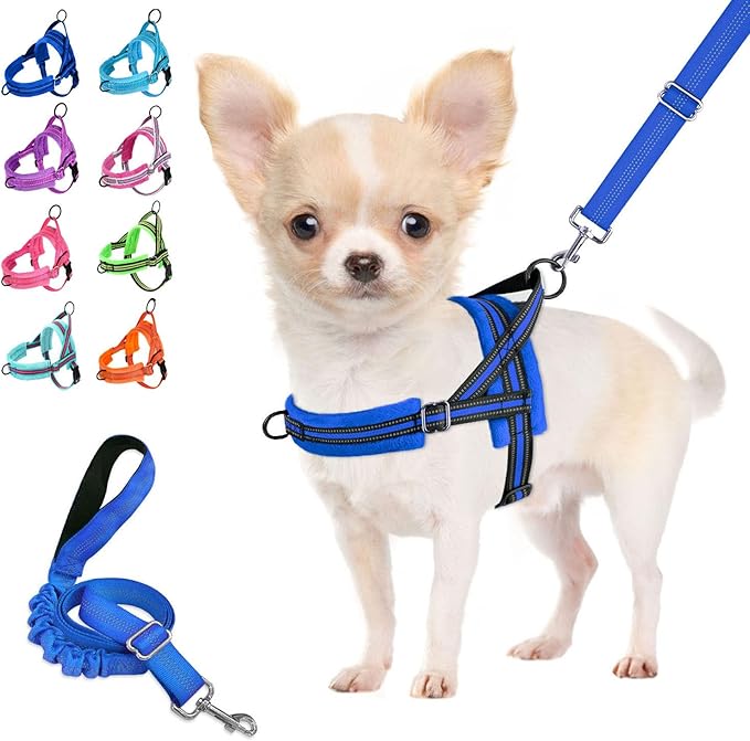 Lukovee No Pull Dog Harness and Leash Set, Soft Padded Small Dog Harness, Neck & Chest Adjustable Reflective Vest Puppy Harness with 4ft Lightweight Anti-Twist Dog Leash for Small Dogs (S, Blue)