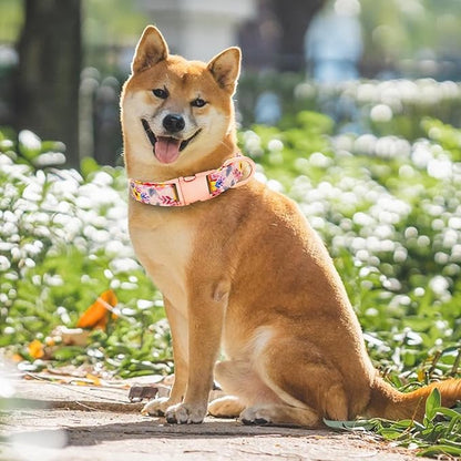 Dog Collar and Leash Set Girls Adjustable Puppy Collars with Floral Bow Tie for Small Medium Large Female Dogs, Pink Flower, M
