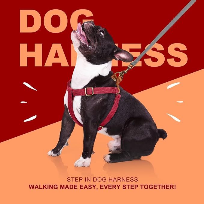 Didog Step in Dog Harness with Metal Buckles, Freedom Nylon Dog Halter Vests for Medium Dogs Easy Walking Training(M:Chest 19-28", Red)