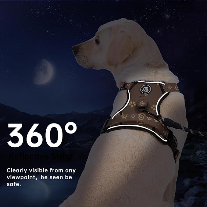 IVY&LANE No Pull Dog Harness with Leash Set, Reflective No Choke Pet Vest,Adjustable Oxford Dog Vest Harness with Easy Control Handle for Large Dogs (Dark Brown,L)