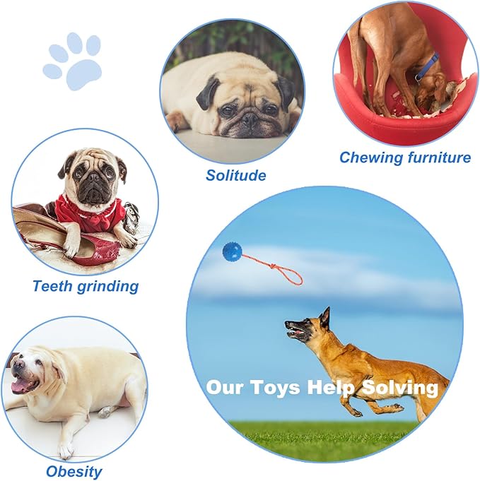 2 Pack Dog Ball, K9 Ball on Rope for Reward, Fetch, Play (Blue and Red)