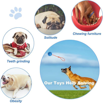 2 Pack Dog Ball, K9 Ball on Rope for Reward, Fetch, Play (Blue and Red)