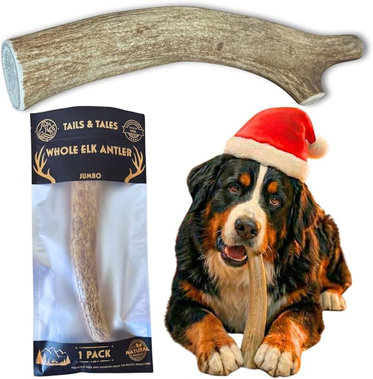 Tails & Tales Whole Elk Antler for Dogs Jumbo 9-11" Long-Lasting & Durable Dog Bones for Aggressive Chewers or Teething Puppies No Additives, Premium Grade A, Naturally Shed in USA