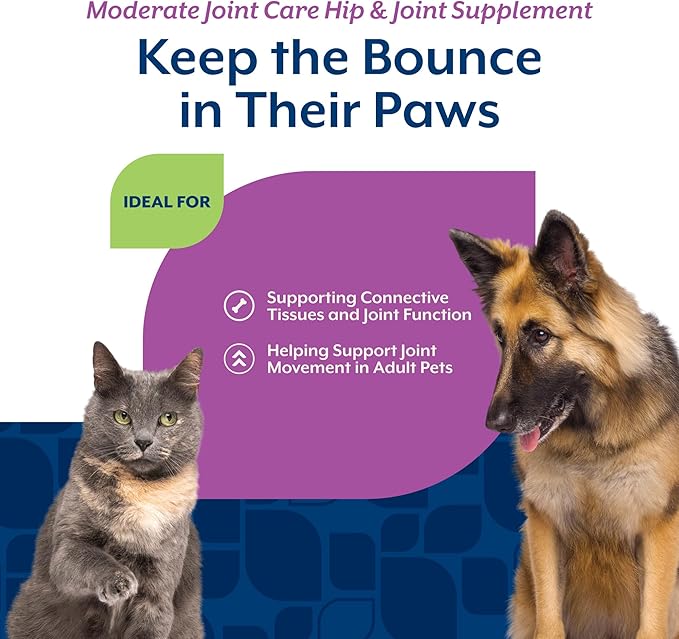 NaturVet Glucosamine DS Plus Level 2 Moderate Care Joint Support Supplement for Dogs and Cats, Chewable Tablets Time Release, Made in The USA, 120 Count