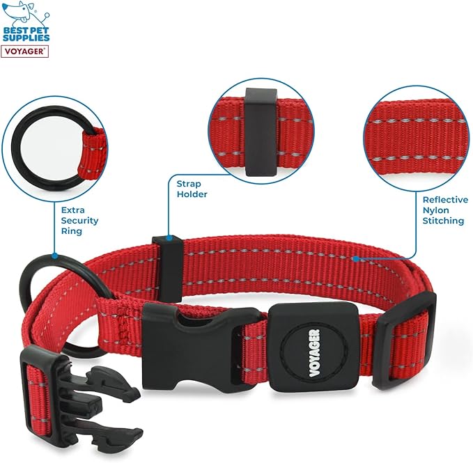 Best Pet Supplies Voyager Reflective Dog Leash or Collar with Neoprene Handle, for Small, Medium, and Large Breed Puppies, Cute and Heavy Duty for Walking, Running and Training - Red, L