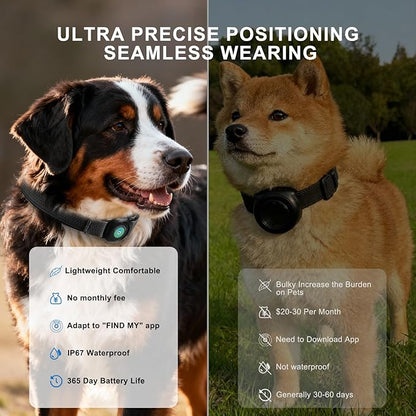 GPS Dog Collar(1 Pack), Mini GPS Cat Tracker, GPS Tracker for Dogs (iOS Only), No Monthly Fee, Compatible with Apple Find My, Anti-Lost, Finder Tag for Kitten Puppy Black S(10"-14")