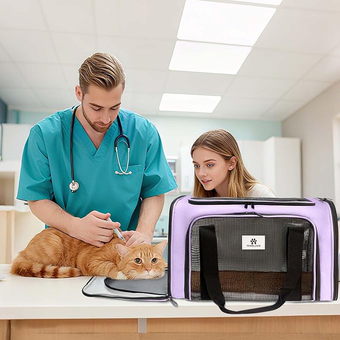 DSDCDJ Cat Carrier Dog Carrier - Soft-Sided Cat Carrier with Plush Pad & Cooling Mat, Easy-Load 4-Side Zipper & 3-Side Mesh Ventilation, Pet Carrier Airline Approved for Cats/Dogs Up to 20 lbs, Purple