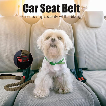 BUMBIN 6Ft Dog Leash, Bungee Dog Leash with 2 Handles, Heavy Duty Leashes for Medium Small Dogs, No Pull Shock Absorbing with Car Seat Belt for Training, Green