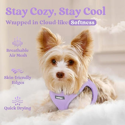 rabbitgoo Small Dog Harness, Step-in Soft Mesh Puppy Vest with Safety Buckle, Breathable Reflective Pet Harness for Extra Small Dogs, Light Purple XXXS