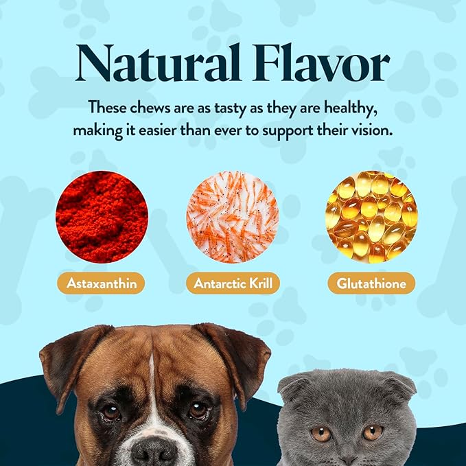 Bundle Eye Supplements for Dogs & Cats | Vision Chews with Omega-3 for All Ages | Includes 60 Chicken Liver Flavored Chews & Pet Eye Drops, 16 mL | Antioxidants & 2% NAC for Cataracts