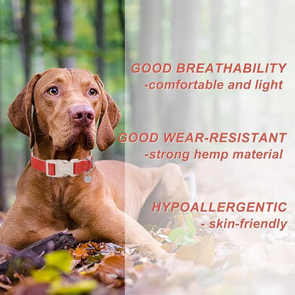 DOGWONG Cotton Hemp Dog Collar, Heavy-Duty Orange Dog Collar Adjustable Soft Natural Fabric Pet Dog Collar Cute Fall Puppy Necklace for Small Medium Large Dogs