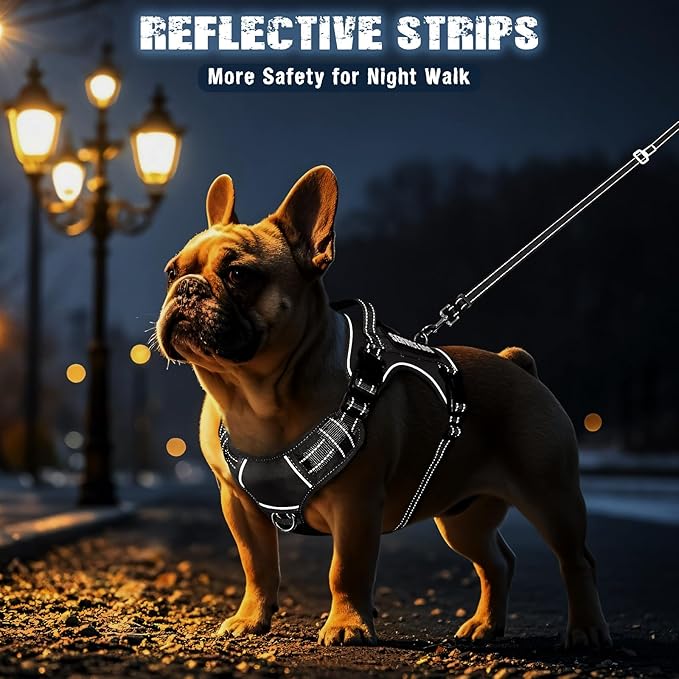 MOOGROU Tactical Dog Harness and Leash Set Small Sized Dog,Heavy Duty No Pull Service Dog Vest and 10 Patches with Dog Seat Belt,Reflective Adjustable Pet Harness for Training Walking Hiking Black S