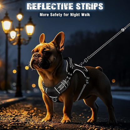 MOOGROU Tactical Dog Harness and Leash Set Small Sized Dog,Heavy Duty No Pull Service Dog Vest and 10 Patches with Dog Seat Belt,Reflective Adjustable Pet Harness for Training Walking Hiking Black S